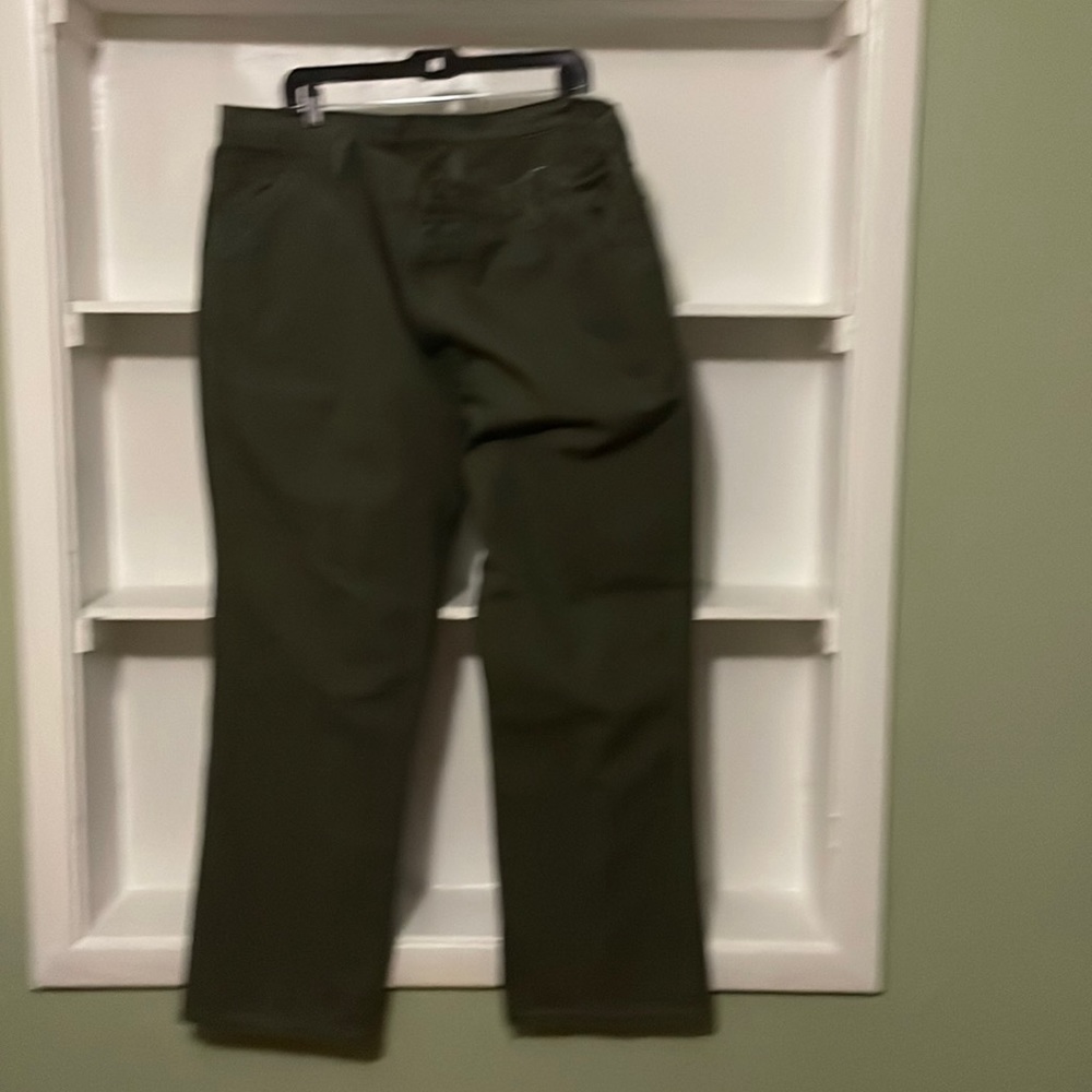 Dickies Men’s Regular Relaxed Fit Straight Leg Duck Jean Rinsed Moss Green